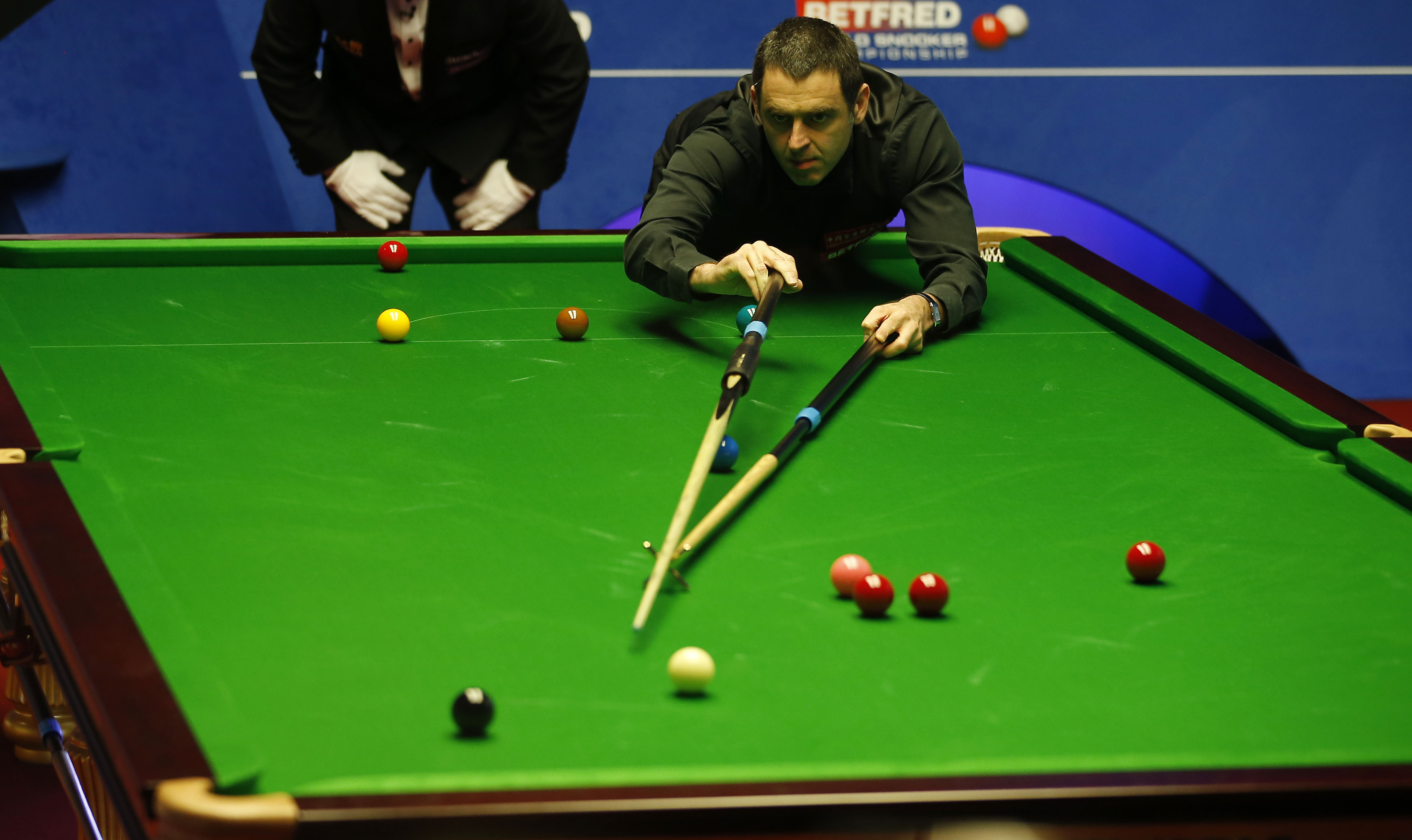 太阳与勇士 太阳与勇士